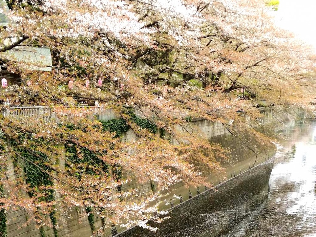 「3月末は皇居を飛び出そう!「皇居乾通り一般公開」時に走りたい周辺ランニングコース」の画像