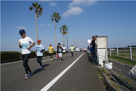 「宮崎の絶景と、温かい応援に囲まれて走る大会 第30回 青島太平洋マラソン2016」の画像