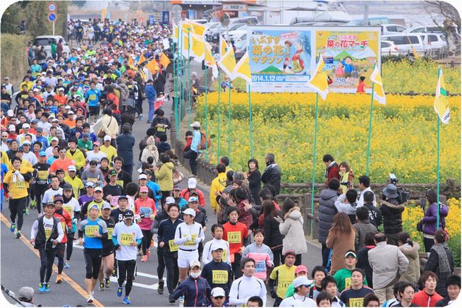 「ふかし芋やぜんざいなどが振る舞われる「おもてなし日本一」の大会! 第36回いぶすき菜の花マラソン」の画像